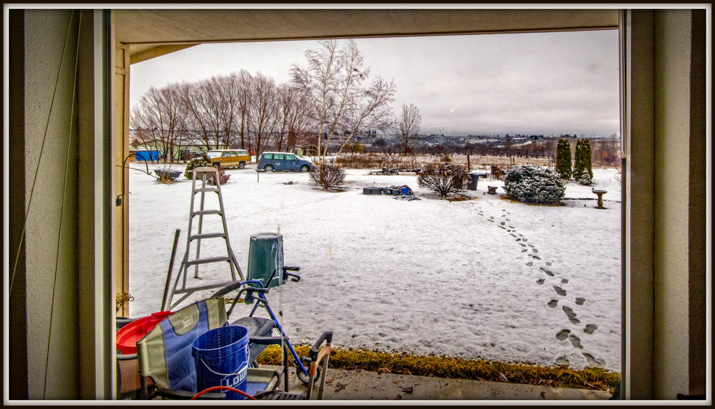 DSC_1770-Edit.jpg