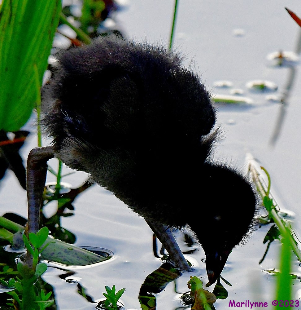 DSC_1770_001.JPG