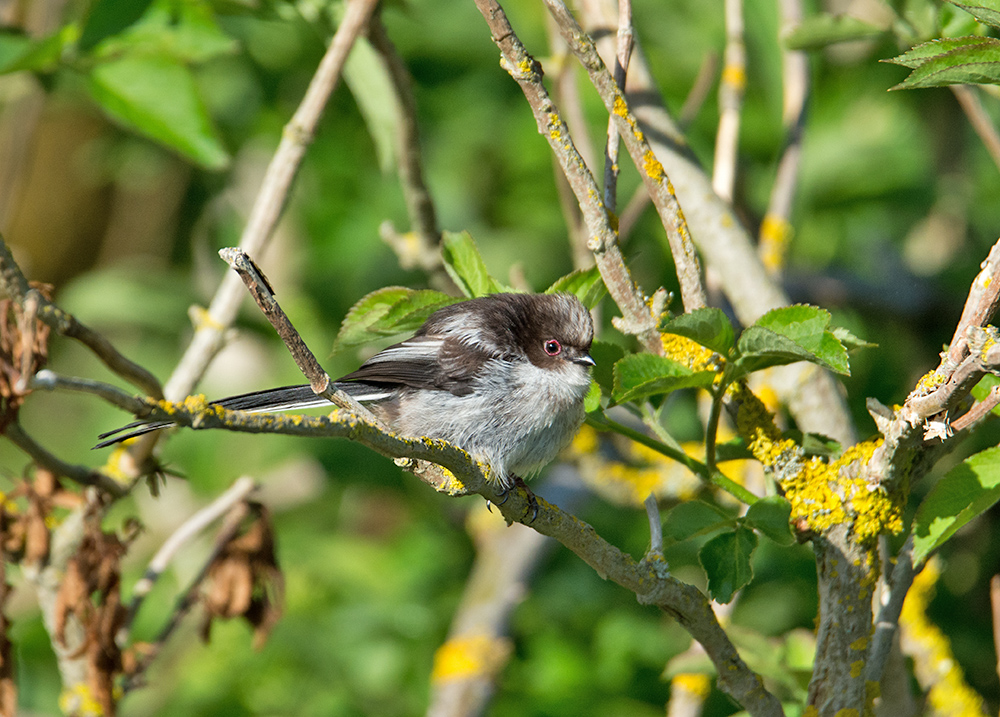 DSC_1771.jpg