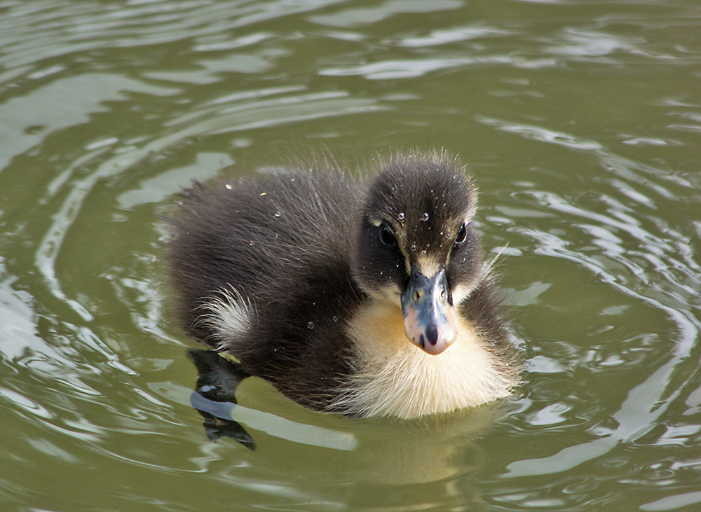 DSC_1773.jpg