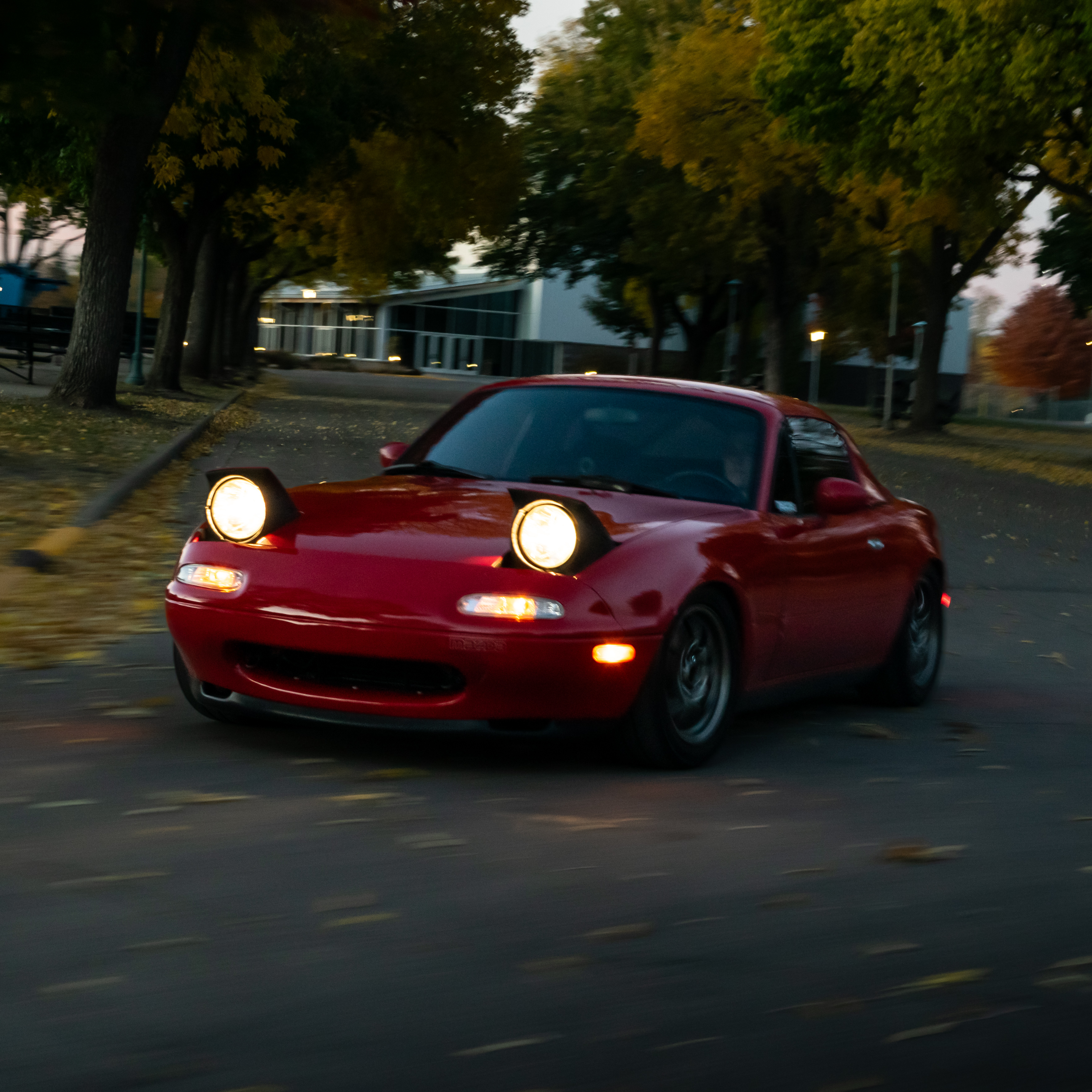 DSC_1775 (1).jpg