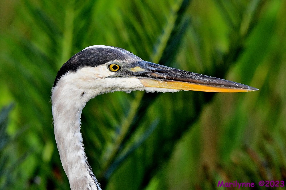 DSC_1776_001.JPG