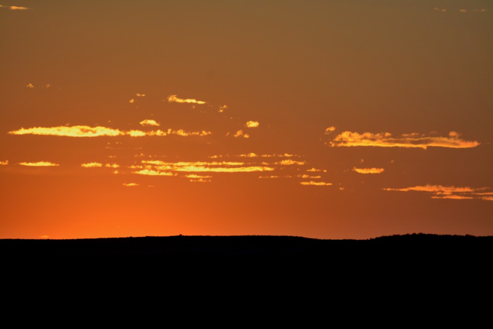 DSC_1779.JPG