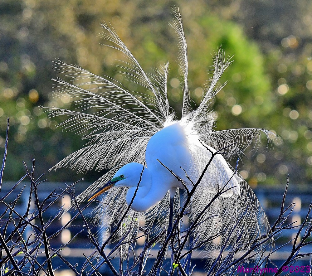 DSC_1779_001.JPG