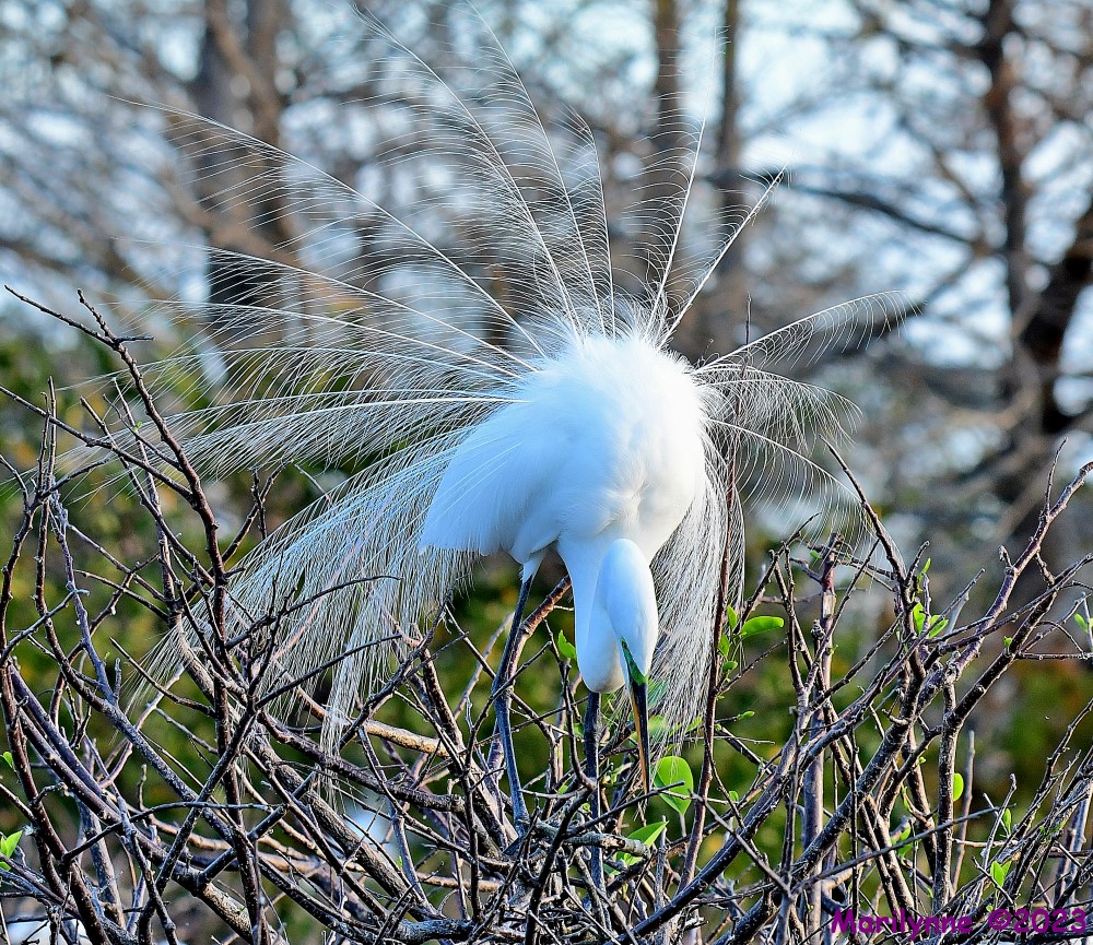 DSC_1784_001.JPG