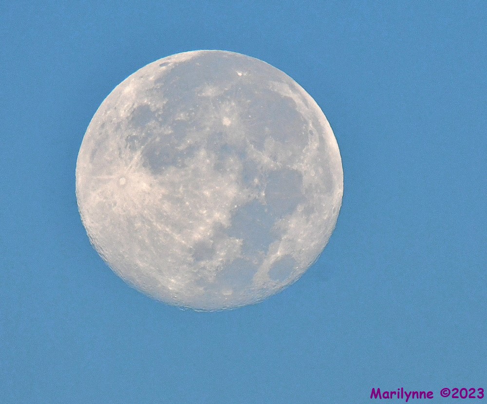 DSC_1786_001.JPG