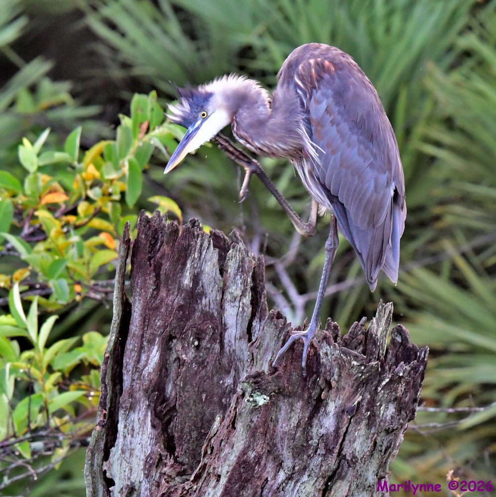 DSC_1786_001.JPG