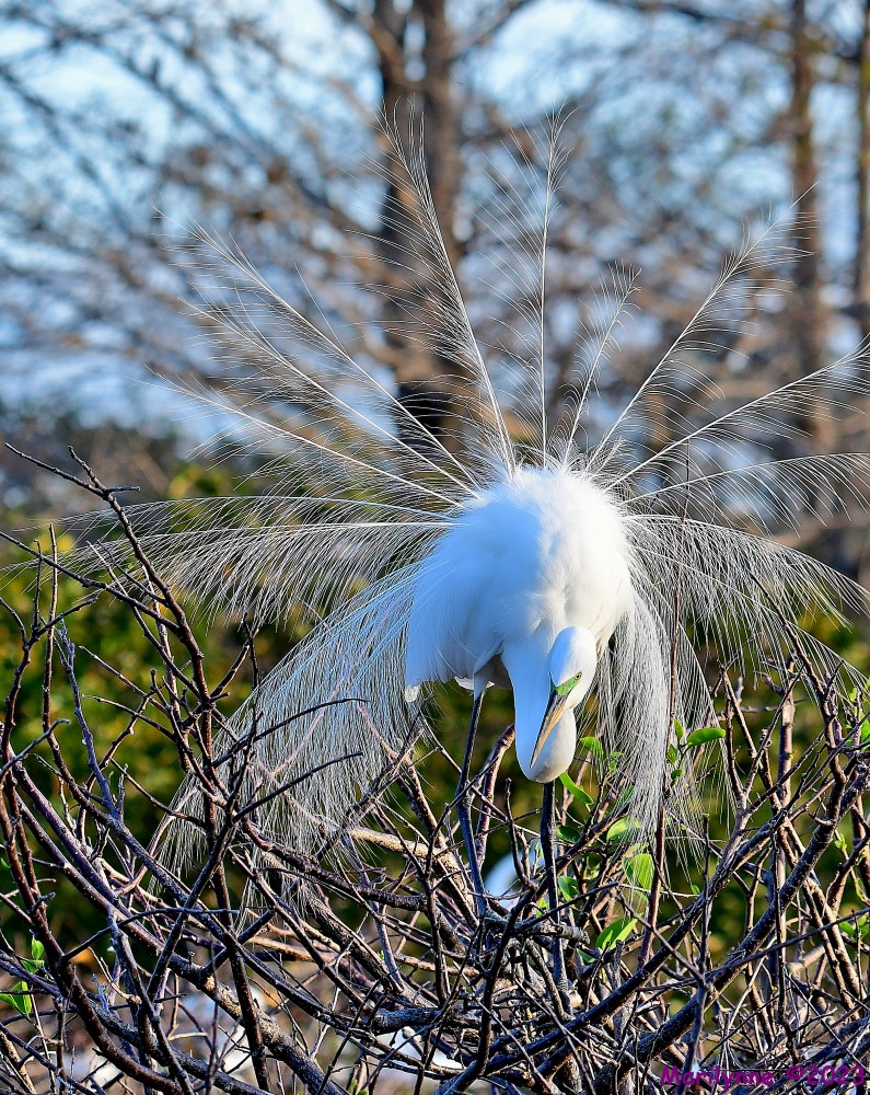 DSC_1787_001.JPG
