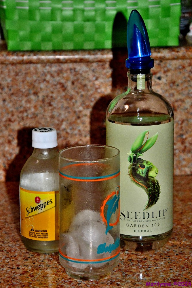 DSC_1787_001.JPG
