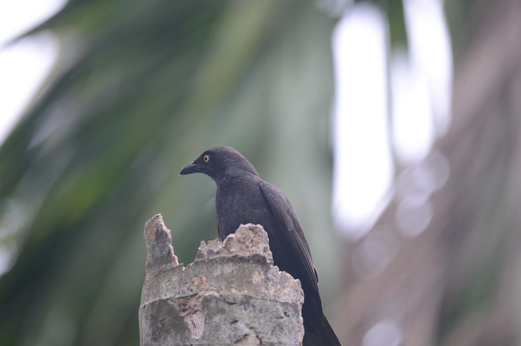 DSC_1788.jpg