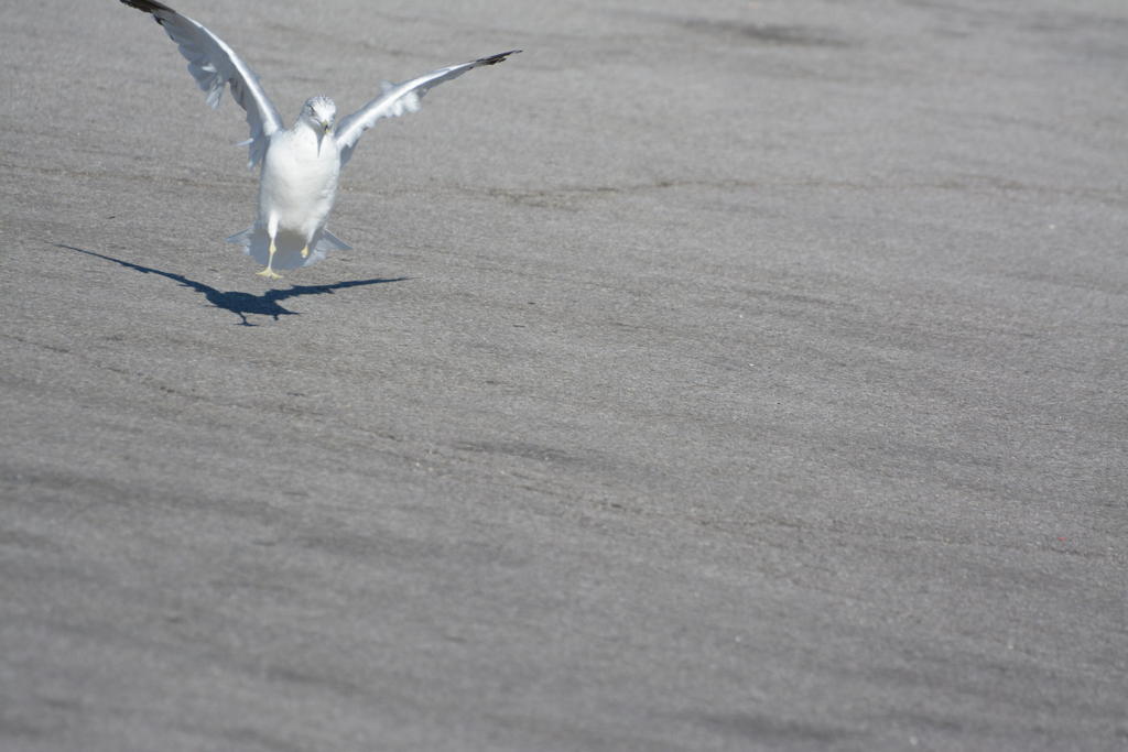 DSC_1789.jpg