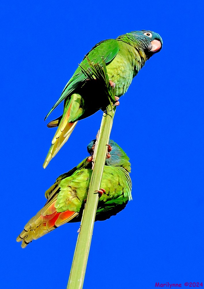 DSC_1790_001.JPG