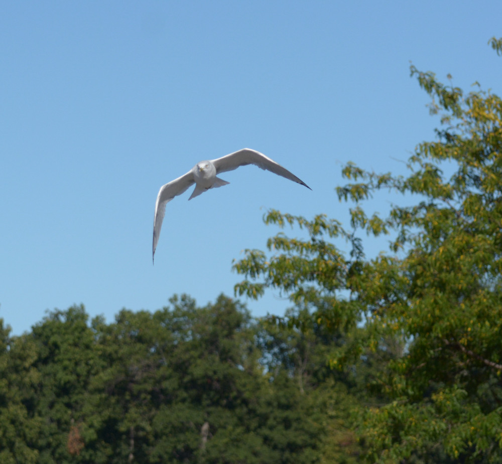DSC_1794.JPG