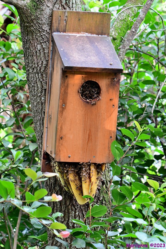 DSC_1795_001.JPG