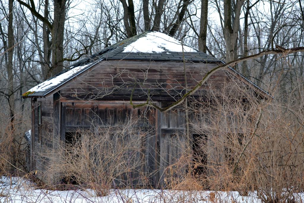 DSC_1797.jpg