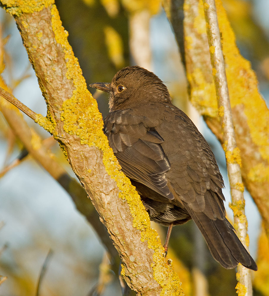 DSC_1798.jpg