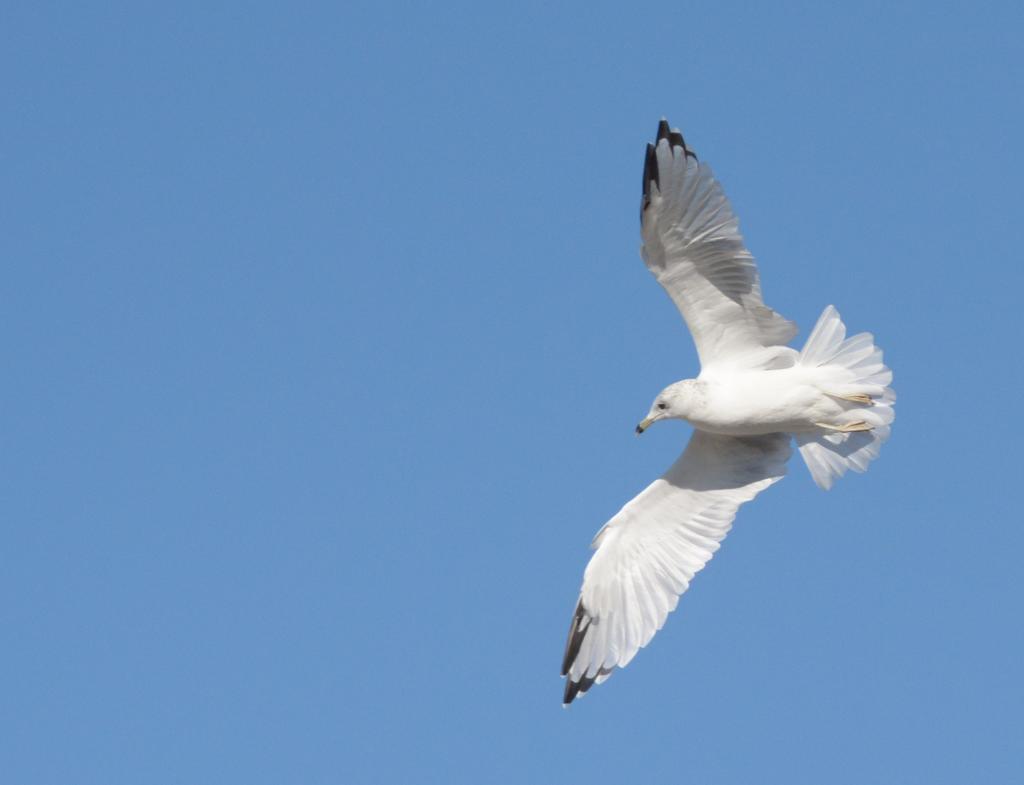 DSC_1801.jpg
