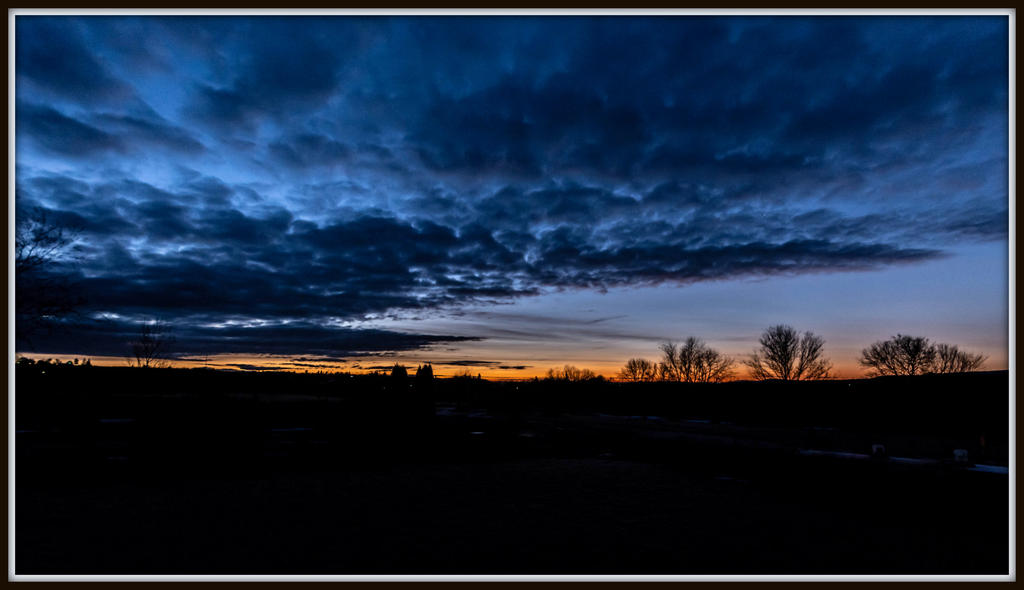 DSC_1803.jpg