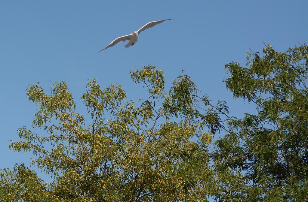 DSC_1814.jpg