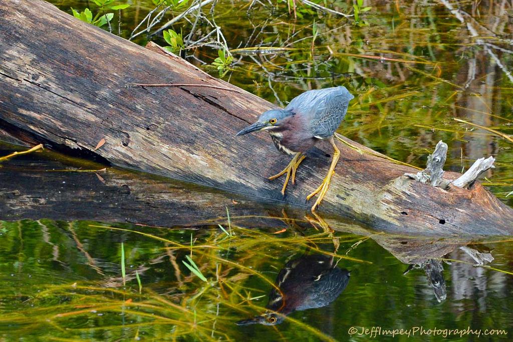 DSC_1814.jpg