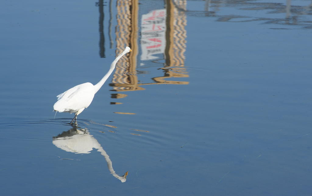 DSC_1815.jpg