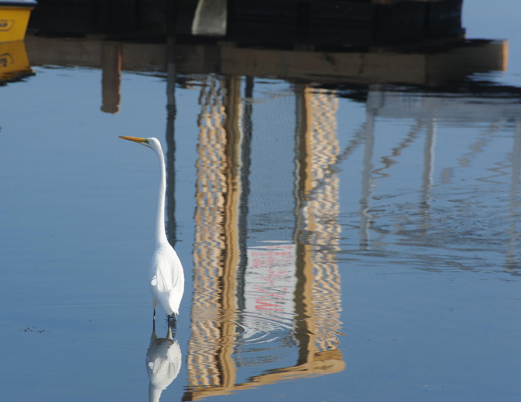 DSC_1817.jpg