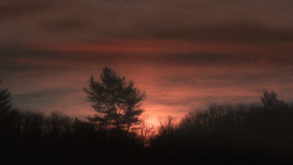 DSC_1818-Edit.jpg