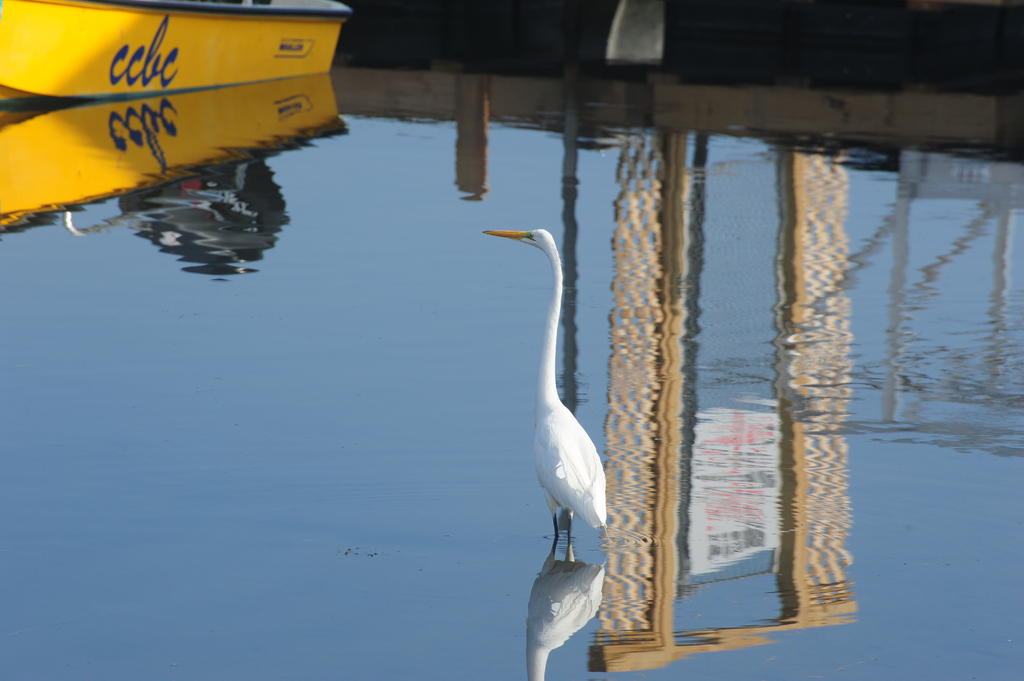 DSC_1818.jpg