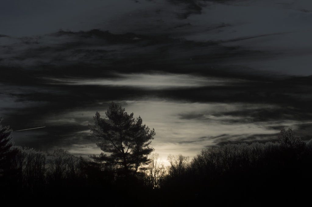 DSC_1818_1024.JPG
