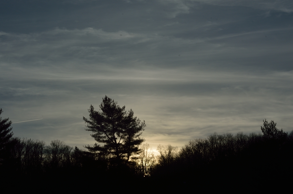 DSC_1818_1024_01.JPG