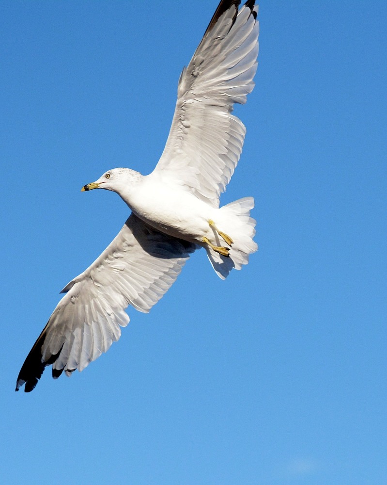 DSC_1820.JPG