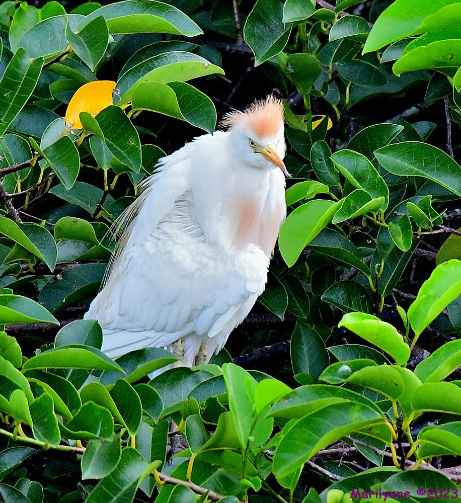 DSC_1820_001.JPG