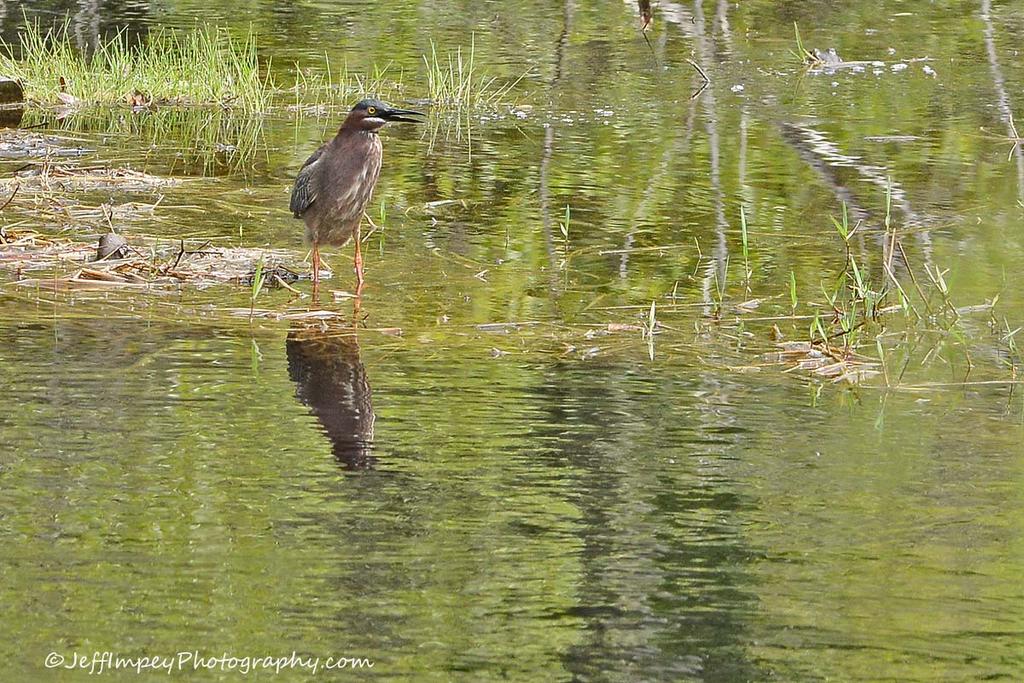 DSC_1821.jpg