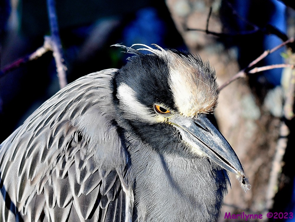 DSC_1821_001.JPG