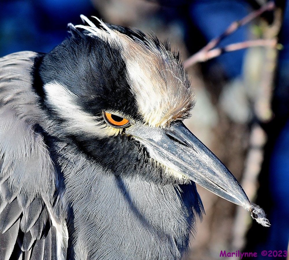 DSC_1824_001.JPG