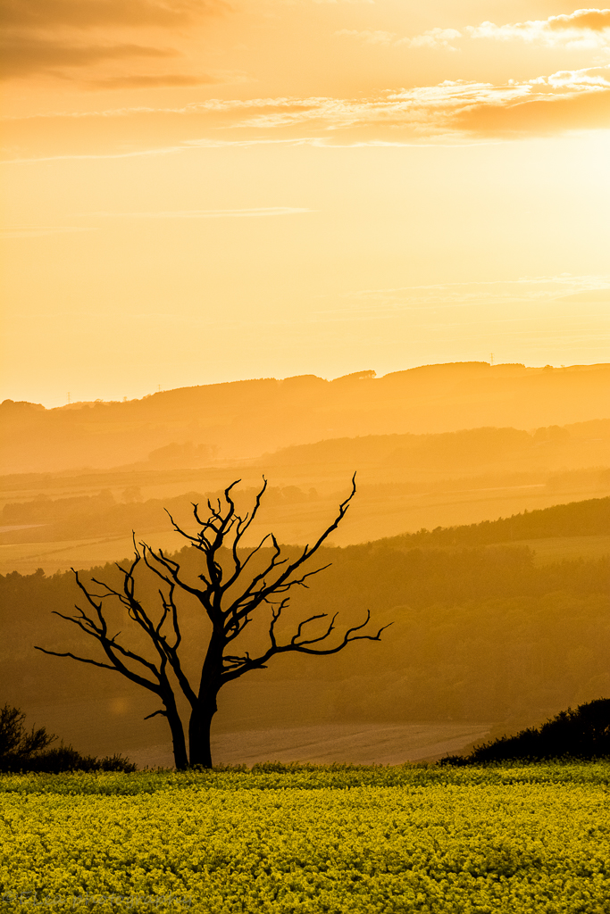 DSC_1825-HDR.jpg