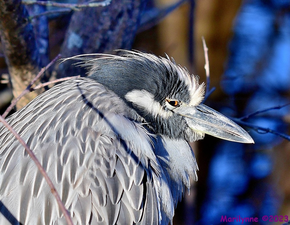 DSC_1826_001.JPG