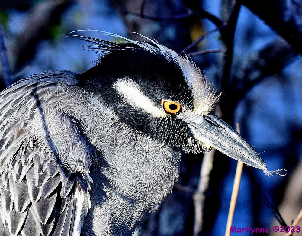 DSC_1829_001.JPG