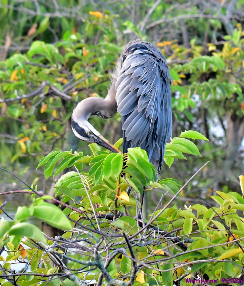 DSC_1829_001.JPG
