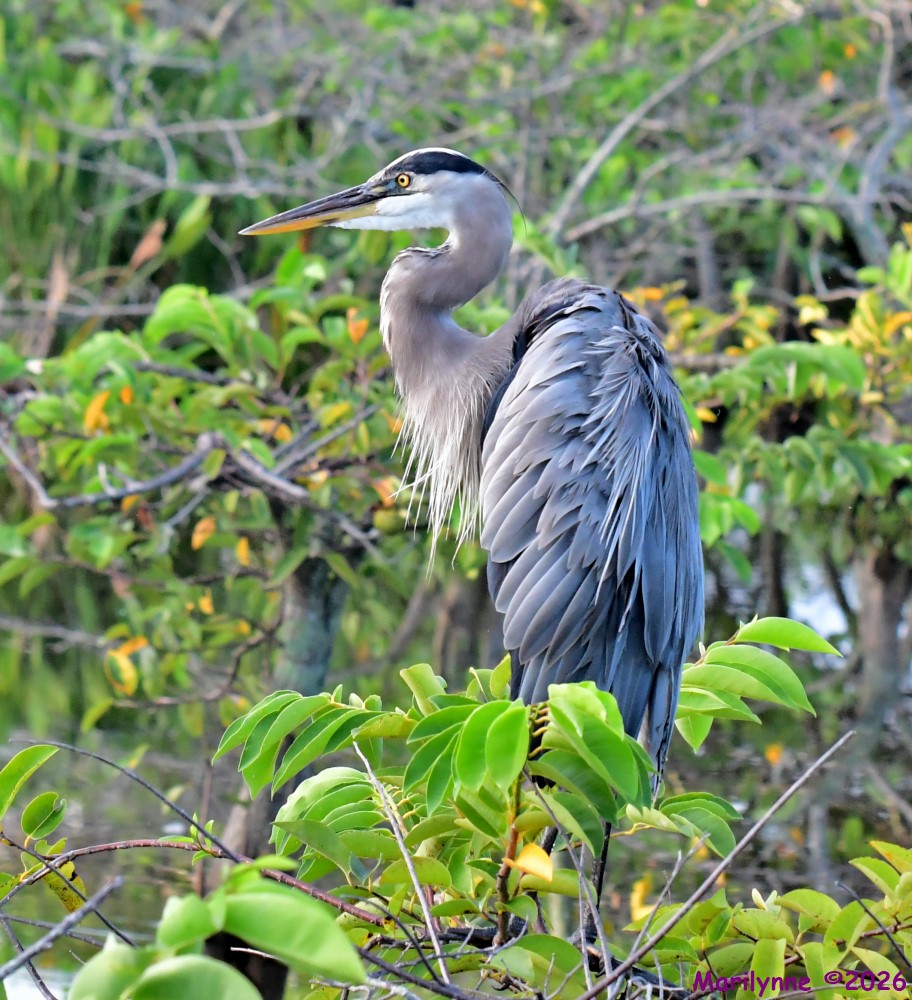 DSC_1834_001.JPG