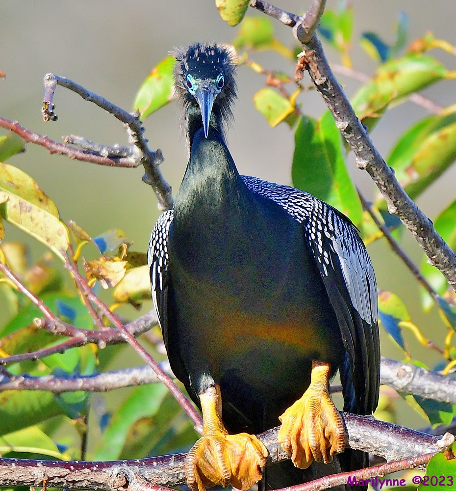 DSC_1835_001.JPG