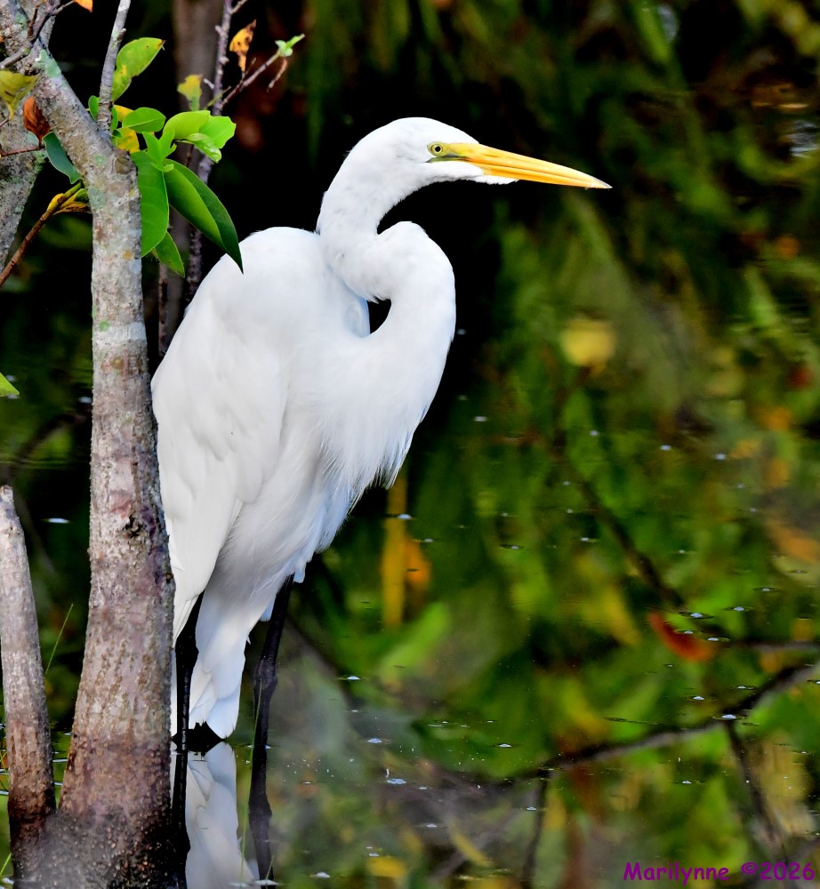 DSC_1835_001.JPG