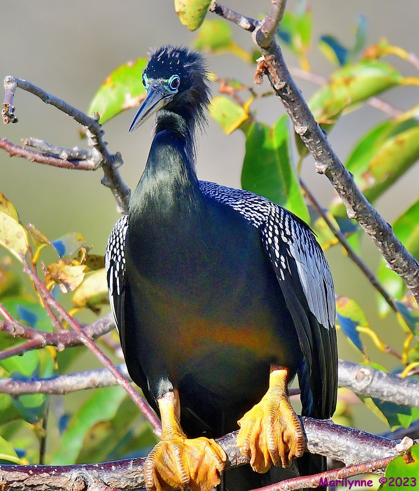 DSC_1836_001.JPG