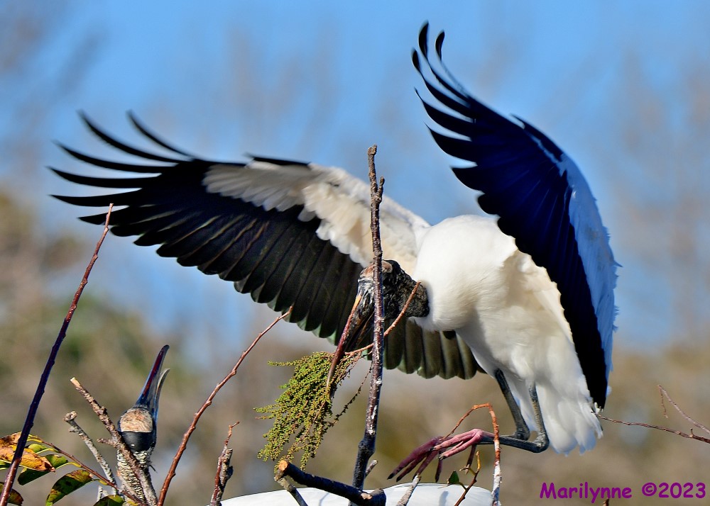 DSC_1840_001.JPG