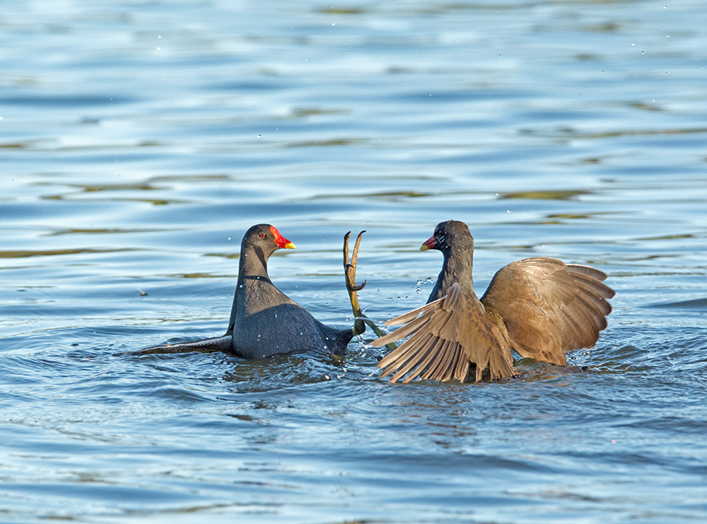 DSC_1841.jpg