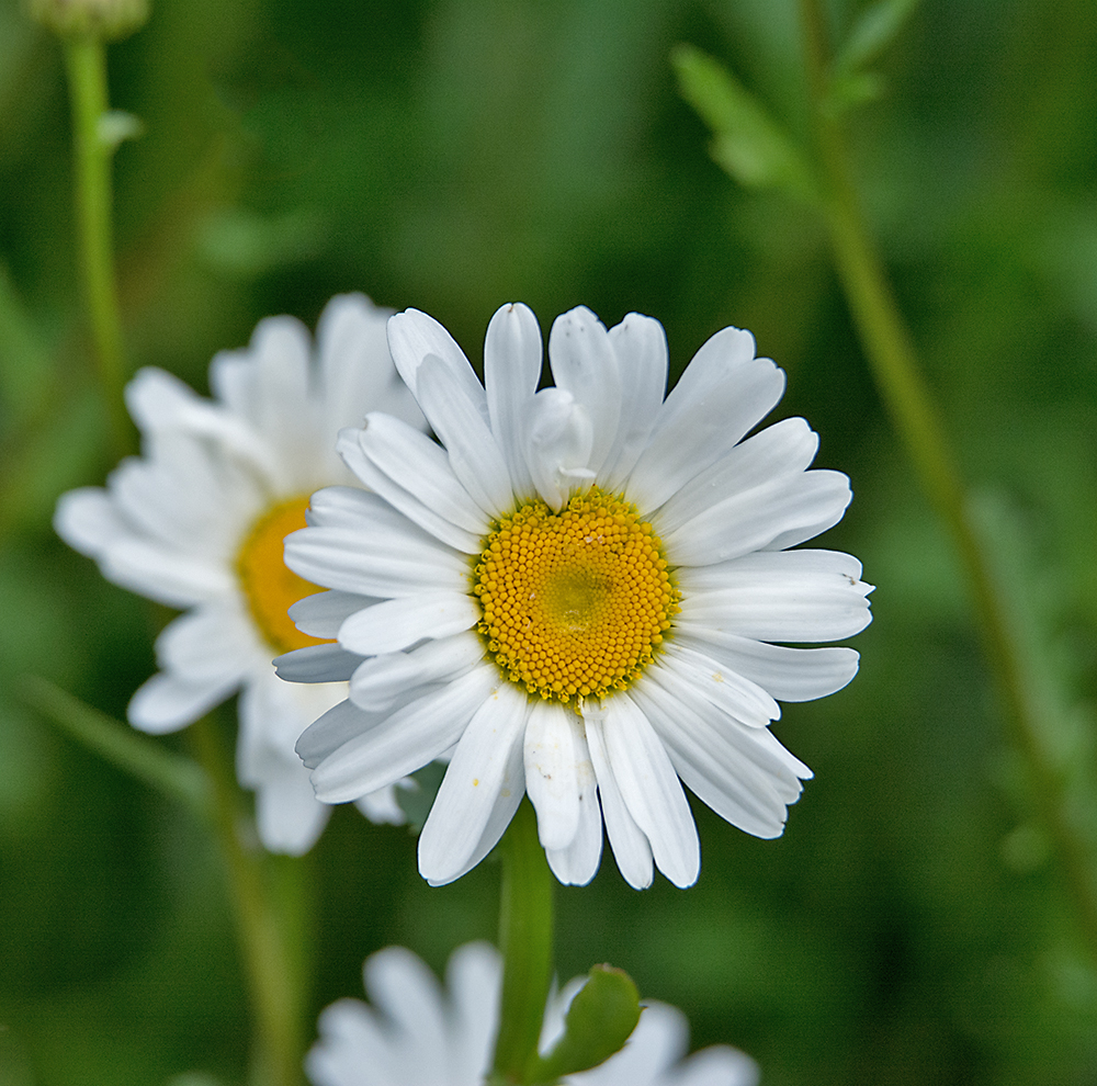 DSC_1842.jpg