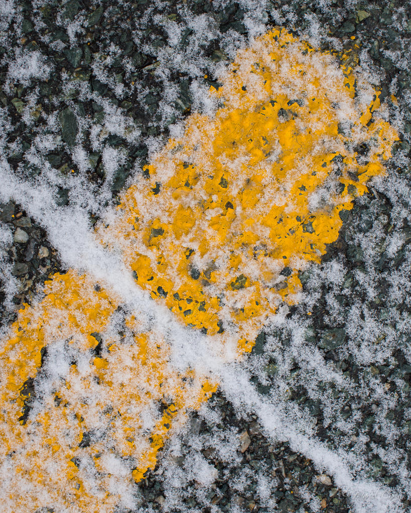 DSC_1843.jpg