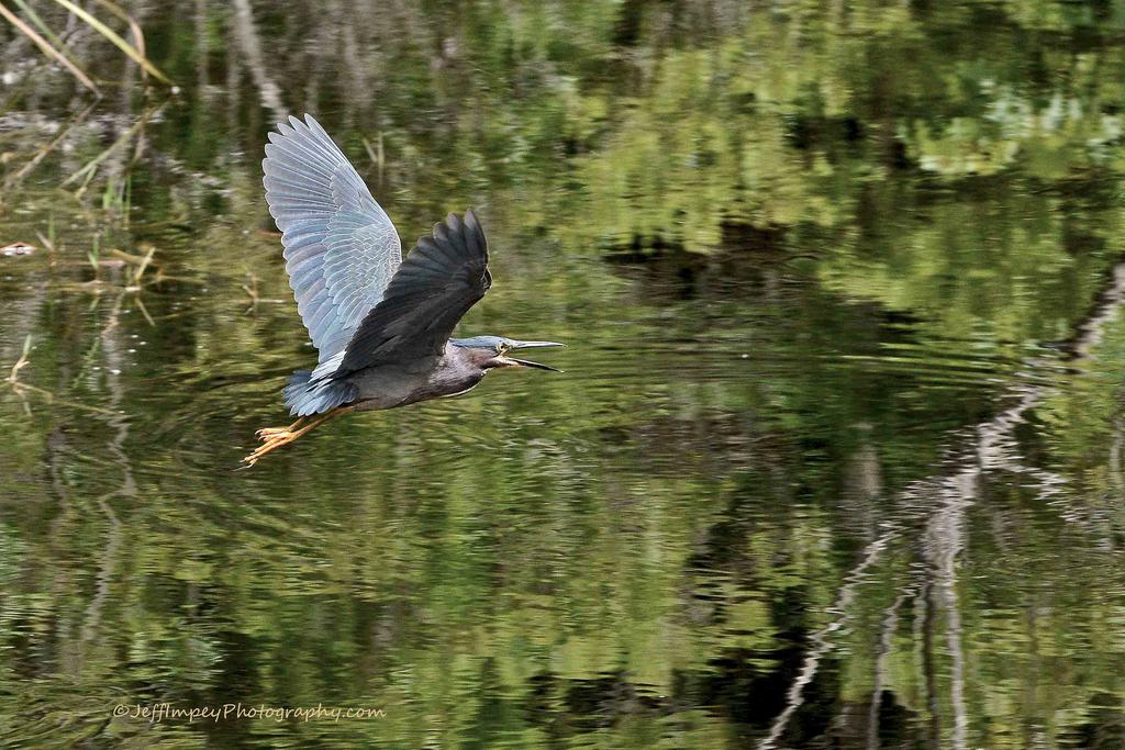 DSC_1843.jpg