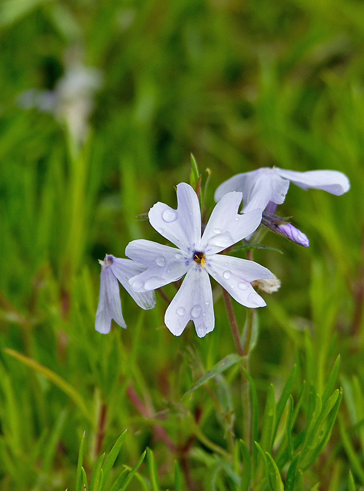 DSC_1844.jpg