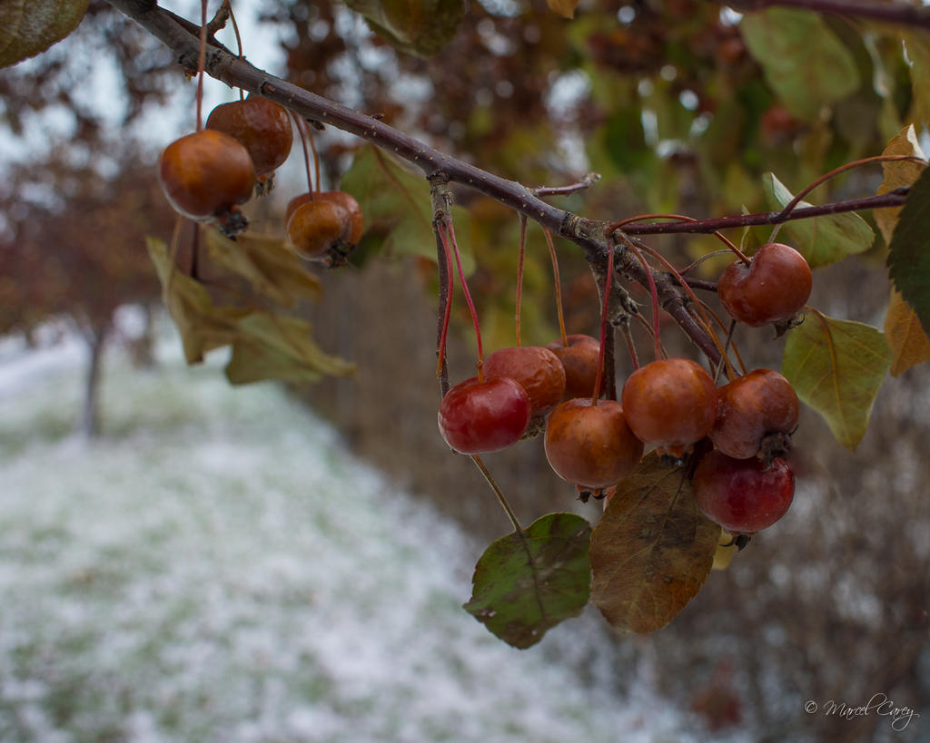 DSC_1844.jpg